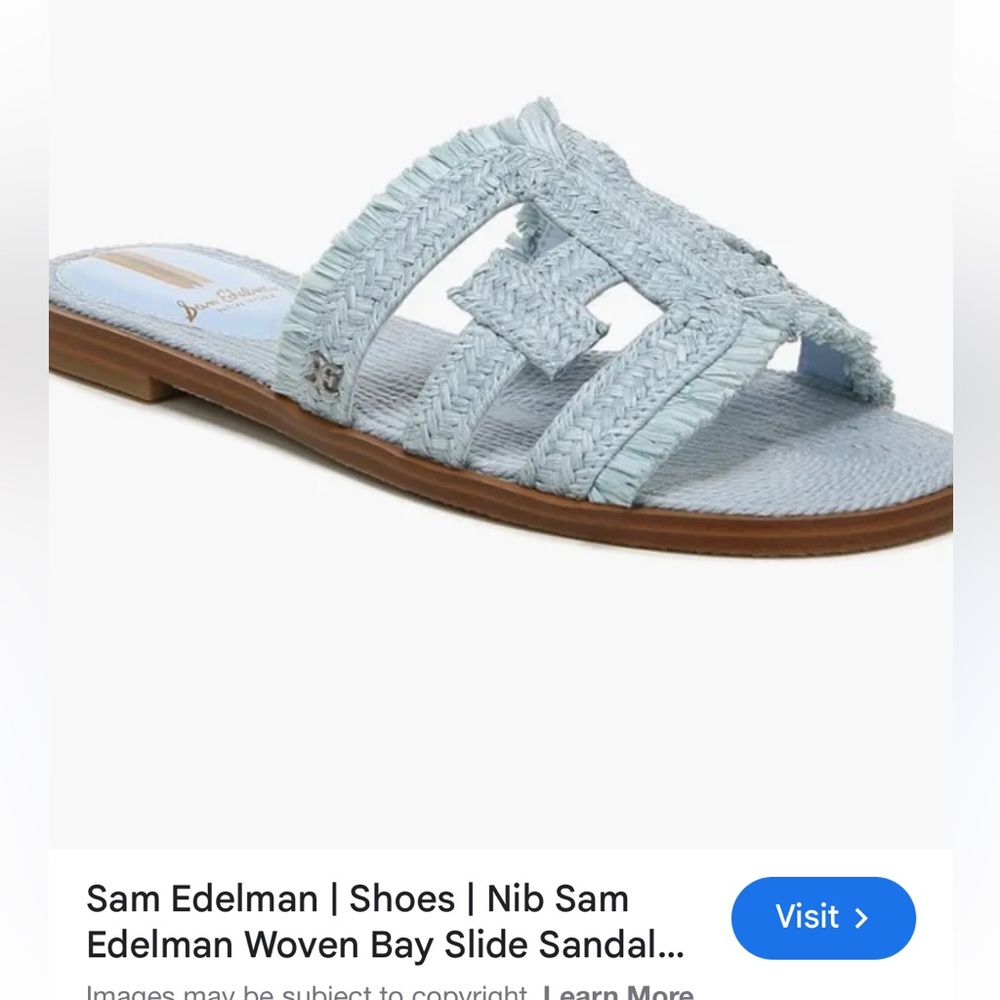 Sam Edelman Blue Braided Flat Sandals
